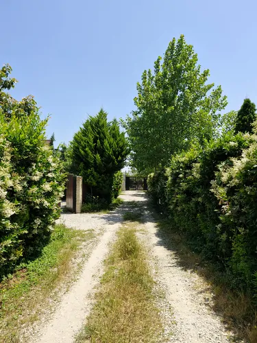 تصویر 15 - ویلا با دیزاین چوبی نارنیا در رامسر