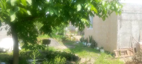 تصویر 2 - کلبه کلبه کاملا دربست در منطقه ای خوش آب وهوا در ماسال