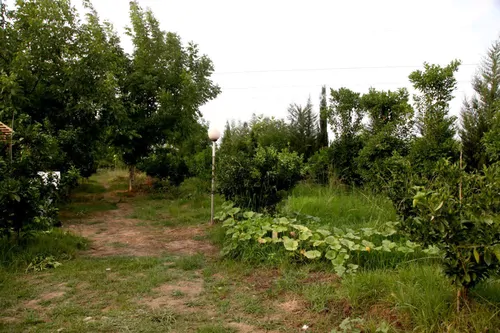 تصویر 36 - ویلا جنگلی استخردار آبگرم شیشه ای سوگلی در عباس آباد