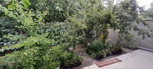 تصویر 10 - خانه ویلایی نورآبی در  سلطانیه
