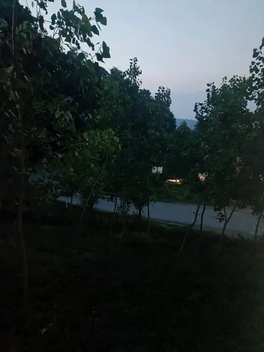 تصویر 4 - کلبه گل عموجان در بابل