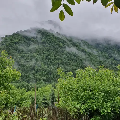 تصویر 20 - ویلا نوئل توسکستان با دیزاین چوب در  گرگان