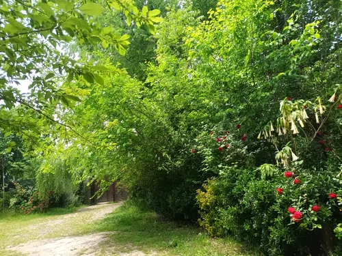 تصویر 23 - کلبه استخردار آبگرم خاتون در  ماسال