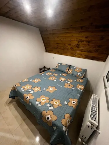 تصویر 9 - کلبه سوئیسی نویان در  شهسوار