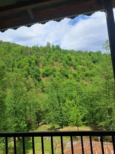 تصویر 2 - ویلا جنگلی فرهاد در ماسال