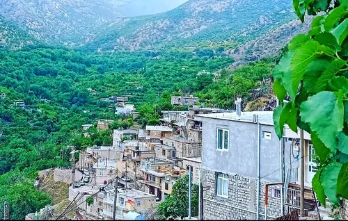 تصویر 14 - آپارتمان دیار (روستای داریان) در  پاوه