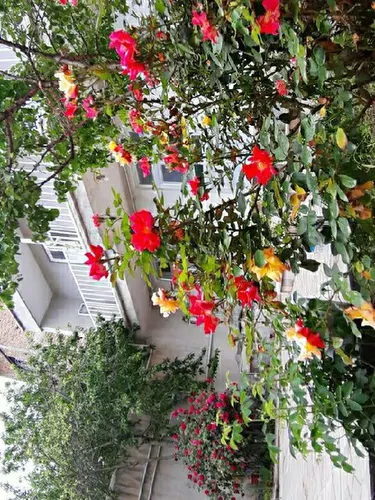 تصویر 5 - خانه منزل  در  کلیبر