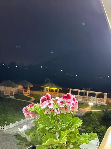 تصویر 4 - ویلا کلبه جنگلی کاکتوس ماسال در ماسال