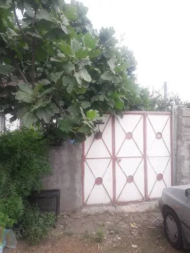 تصویر 3 - ویلا طبیعت ۲ در آستارا