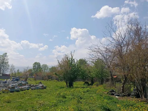 تصویر 12 - کلبه چوبی سبز جنگل  در  شاندرمن