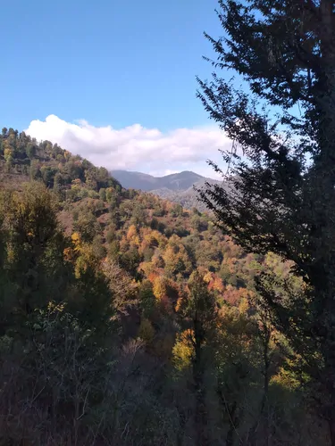 تصویر 27 - ویلا خونه صورتی در  آستارا
