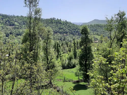 تصویر 22 - ویلا جنگلی آپادانا روستای استخرگاه در  رستم آباد