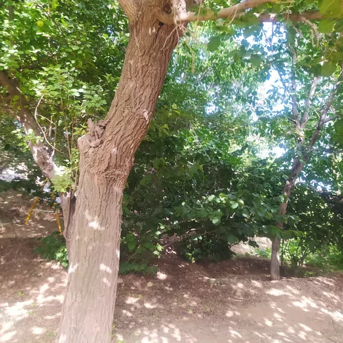 تصویر 10 - اقامتگاه بوم‌گردی قلعه کوه سفید  در  تفرش
