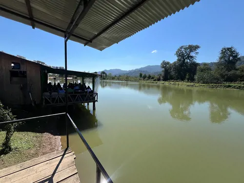 تصویر 18 - ویلا با دیزاین چوب شالیزار در  تالش