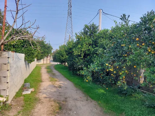 تصویر 8 - کلبه پناهگاه آرامش در  رامسر