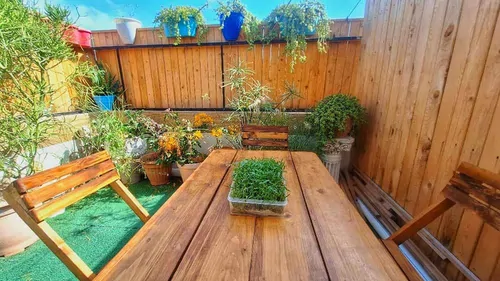 تصویر 11 - خانه سینا در  بوشهر