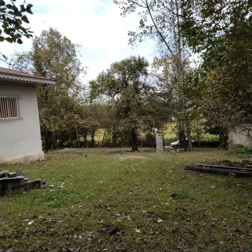 تصویر 2 - ویلا ویلا جنگلی سید در ماسال