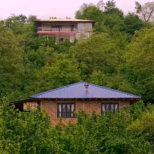 سنتی علی
