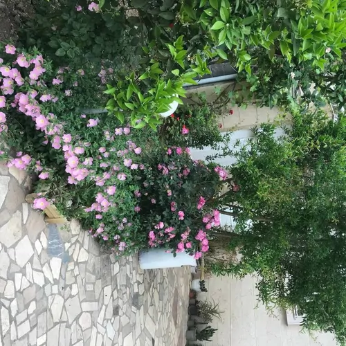 تصویر 3 - ویلا ویلا در کیاشهر