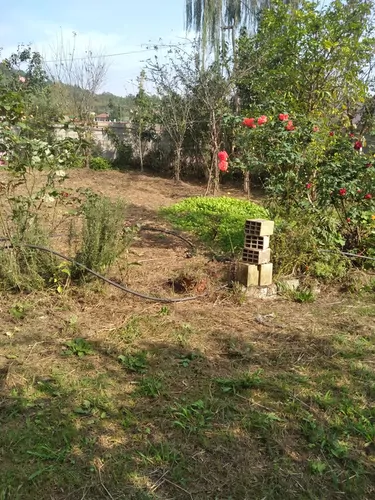 تصویر 2 - سوییت محل آرامش در ماسال