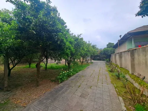 تصویر 4 - خانه ویلا باغ جان مار سره در شیرگاه
