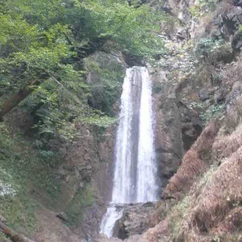 تصویر 37 - ویلا سنتی جنگلی سپیدار در  تالش