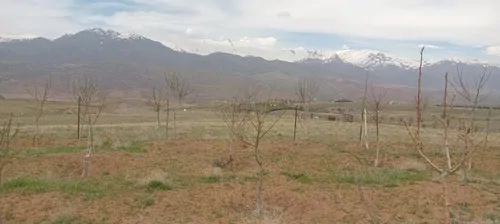 تصویر 3 - روستایی و عشایری مزرعه نور کمپینگ بومگردی طبیعتگردی در طالقان
