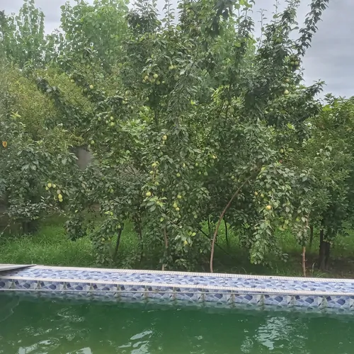 تصویر 21 - ویلا استخردار آبسرد باغ بلوط  در  صومعه‌سرا
