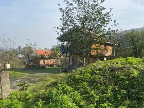 تصویر 17 - کلبه چوبی برادران شریفی (4) در ماسال