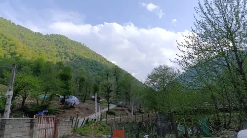 تصویر 18 - ویلا جنگلی شالما کوه در  ماسال