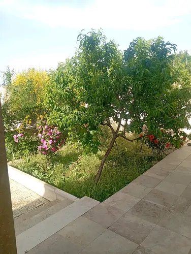 تصویر 20 - ویلا عمارت استخردار آبگرم میلاد (۴) در سهیلیه