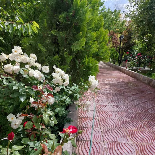 تصویر 23 - ویلا استخردار آبگرم باغ سبز در  سهیلیه