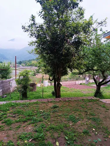 تصویر 14 - ویلا اسکندری در  ماسال