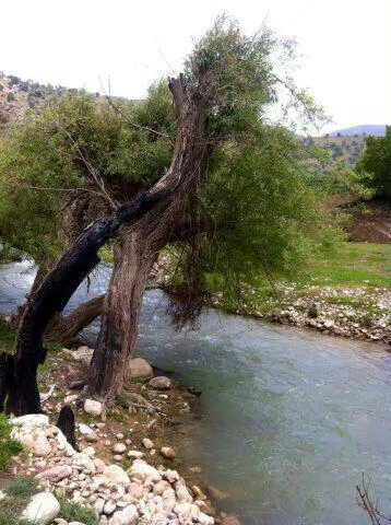 تصویر 5 - مهمانسرا زاگرس(واحد 8) در لردگان