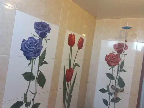 تصویر 4 - ویلا اقامتگاه  ذالدره در ساری