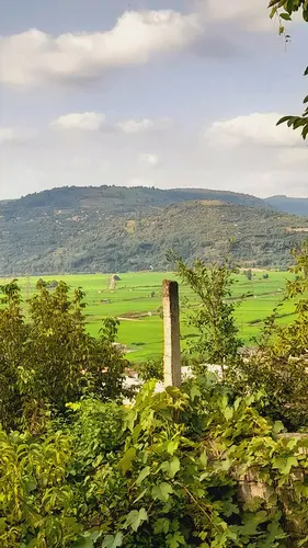 تصویر 5 - ویلا ویلا باغ بامبو در ساری