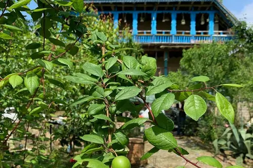 تصویر 2 - اقامتگاه بوم‌گردی حاج علی  در لاهیجان