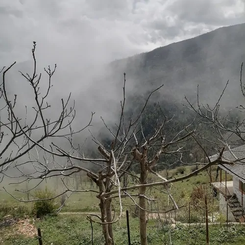 تصویر 2 - ویلا خانه مسافر در علی آباد کتول