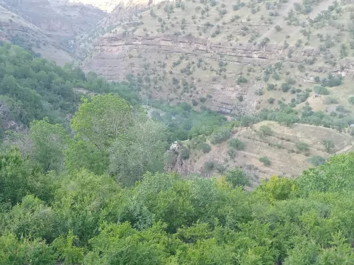 تصویر 5 - روستایی و عشایری خانه باغ در  پاوه