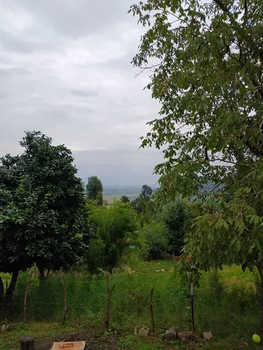 تصویر 9 - کلبه جنگلی چوبی ورمیه در  ماسال