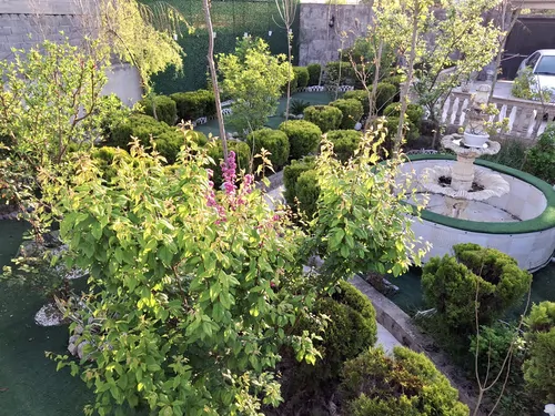 تصویر 7 - کلبه چوبی روشنا در  بابل