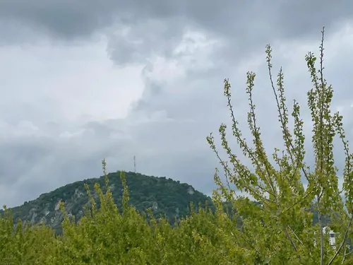 تصویر 19 - ویلا استخردار آبگرم جانان (۱) با جکوزی و بیلیارد در رامسر