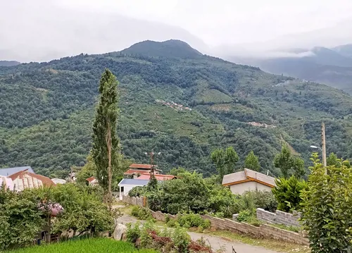 تصویر 16 - خانه نگین پلام در اشکورات در  کلاچای