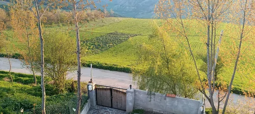 تصویر 2 - کلبه سوئیسی پری ملک در نکا