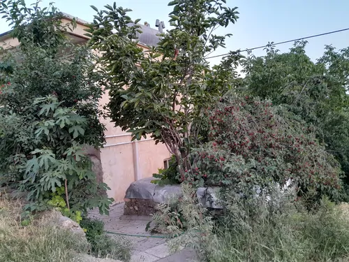 تصویر 23 - ویلا رجبی در  معلم کلایه