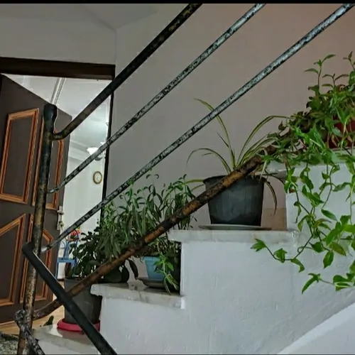 تصویر 11 - آپارتمان مبله علاءالدین در  گرگان