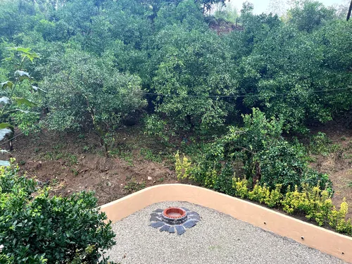 تصویر 11 - ویلا جنگلی وودلند  در  رامسر