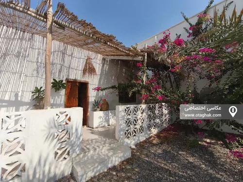 آسو (اتاق آهید)