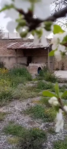 تصویر 5 - اقامتگاه بوم‌گردی اقامتگاه بومگردی صواحی در  خلیل شهر