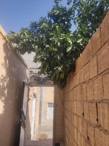 تصویر 3 - خانه قائم (8) در مهریز